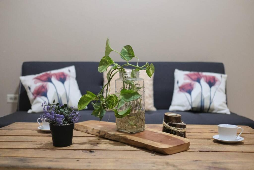 Casco Historico Demeter Apartment โกมายากัว ภายนอก รูปภาพ